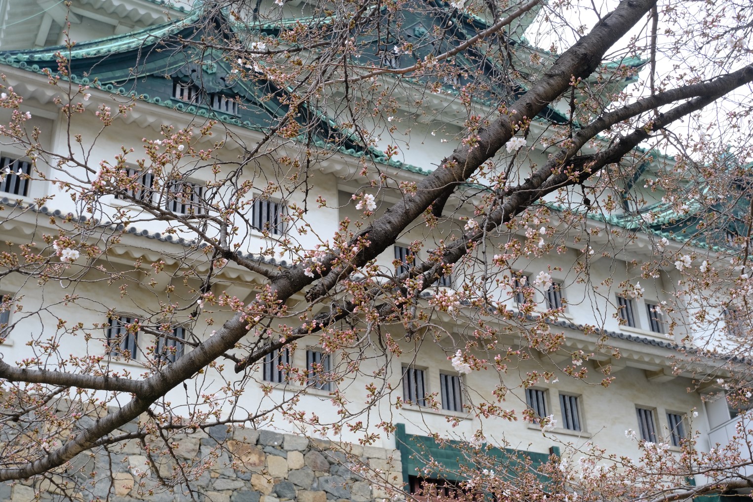 nagoya castle